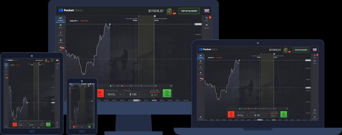 Pocket Option Platform Overview 24