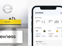 Understanding the Exness Fx Broker Your Comprehensive Guide